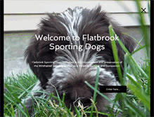 Tablet Screenshot of flatbrooksportingdogs.com